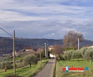 bosco camerine albanella
