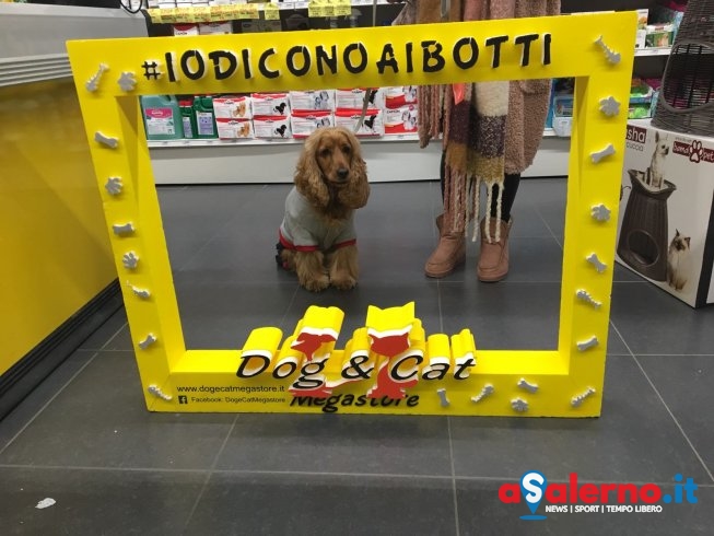 “Io Dico No ai Botti”: ritorna la campagna del megastore Dog&Cat – FOTO - aSalerno.it