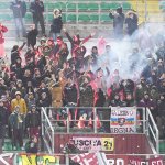 tifosi (13)