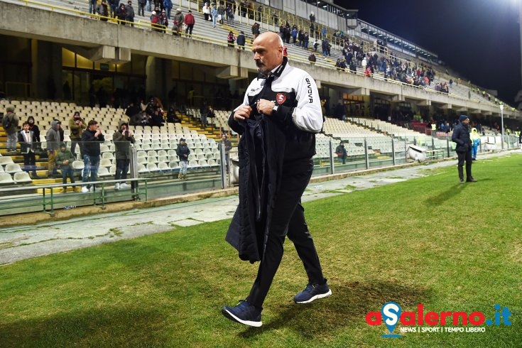 Salernitana vede già rosa: testa e cuore a Palermo per cacciare fuori gli artigli - aSalerno.it