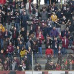 TifosiSalernitana41