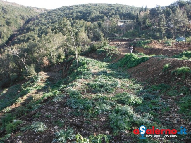 Lavori abusivi a Cupa Parisi scoperti dai Carabinieri della Forestale – LE FOTO - aSalerno.it