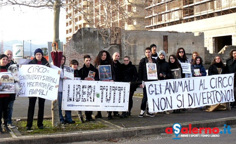 “Ancora una volta disillusi dalla politica..” la replica al Comune di Veg in Campania - aSalerno.it