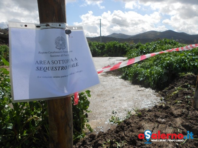 Paestum, sversamento di rifiuti zootecnici: sequestrata area di 500 mq - aSalerno.it