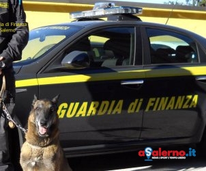 finanza salerno cane antidroga