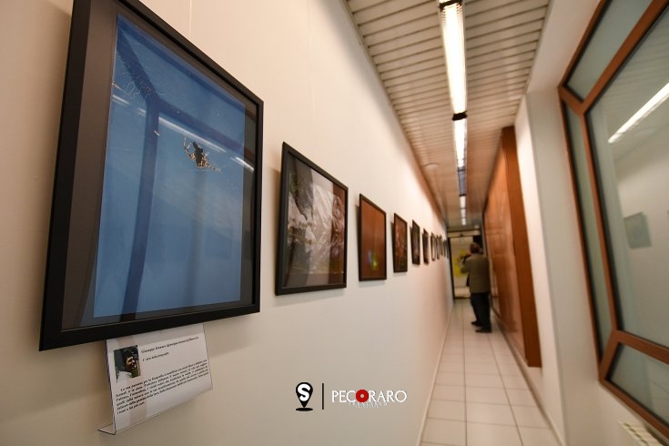 Giornate Scuola Medica Salernitana, domani convegno internazionale sul Covid - aSalerno.it