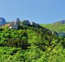 petina