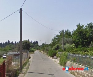 via piantito campagna
