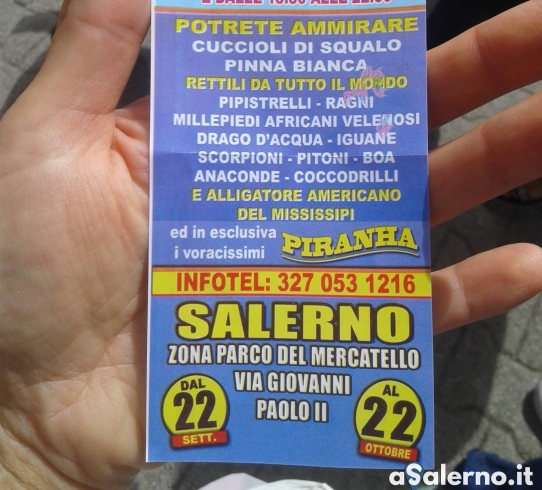 Mostra itinerante di animali a Salerno, scatta la protesta degli attivisti - aSalerno.it