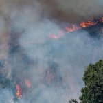 incendio amalfi (4)