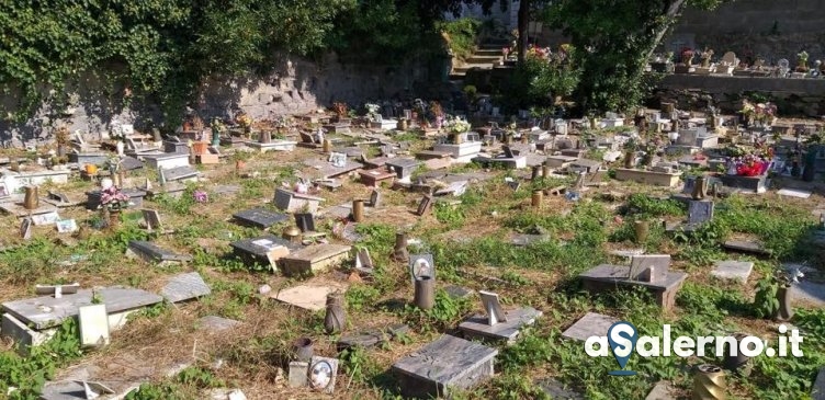 Erba incolta e lapidi rotte al cimitero degli animali, l’appello – FOTO - aSalerno.it