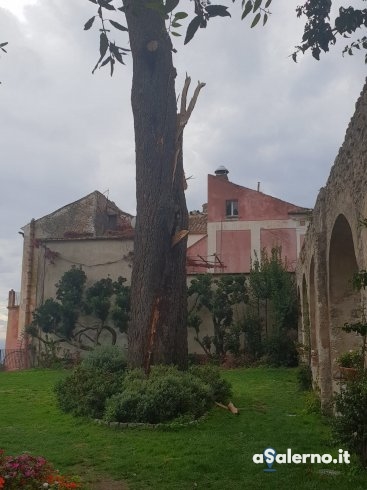 Ravello, fulmine colpisce un pino al Belvedere: strada chiusa - aSalerno.it