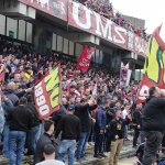 Tifosi (20)