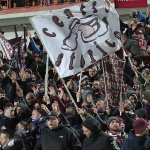 Tifosi (2)