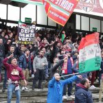 Tifosi (22)