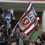 Tifosi (26)