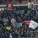 Tifosi (50)