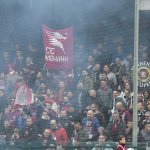 Tifosi (68)