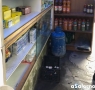 WhatsApp Image 2019-01-24 at 17.26.47 (1)