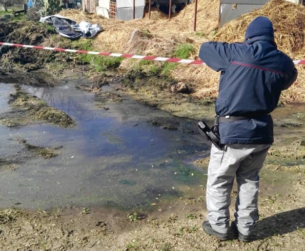 Buccino, smaltimento illecito di reflui zootecnici - aSalerno.it