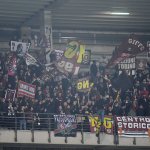 Tifosi (16)