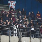 Tifosi (23)