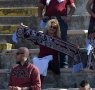 Tifosi (12)