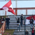 Tifosi05