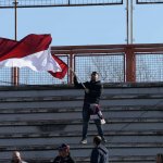 Tifosi13