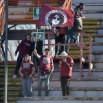 Tifosi14