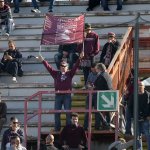Tifosi15