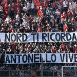 Tifosi29