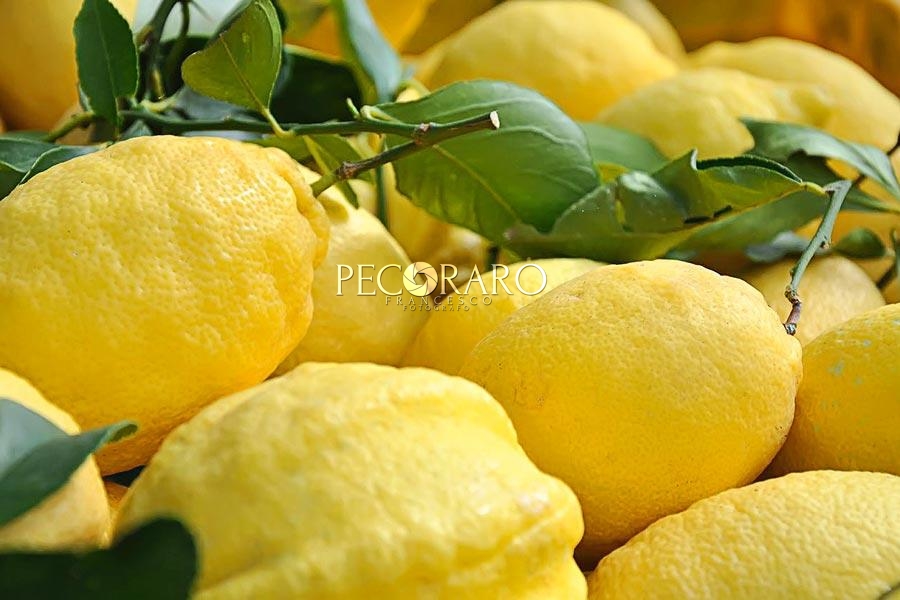 foto limoni