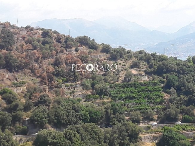 Incendio a Erchie, trovato l’autore - aSalerno.it