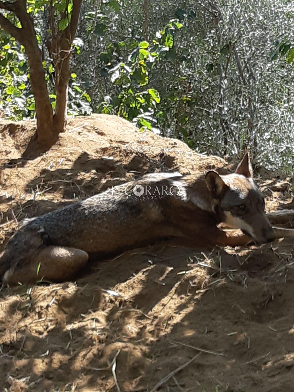 IMG-20190914-WA0069
