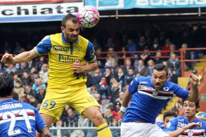 20 03 2016 Sampdoria vs ChievoCampionato di Calcio Serie A TIM 2015/2016 - Stadio "Luigi Ferraris"