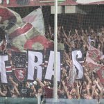 Tifosi (31)