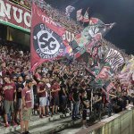 Tifosi (40)