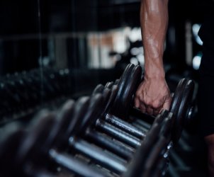 gym palestra