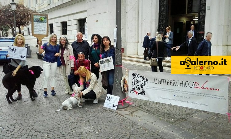 Uccisione cagnolina Chicca, fissata per il 18 settembre udienza in Corte d’appello - aSalerno.it