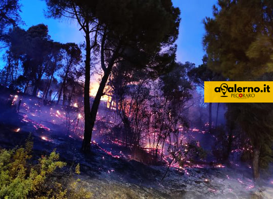 Salerno, la preoccupazione di Legambiente: “Bruciato patrimonio inestimabile e fragile per tutti noi” - aSalerno.it