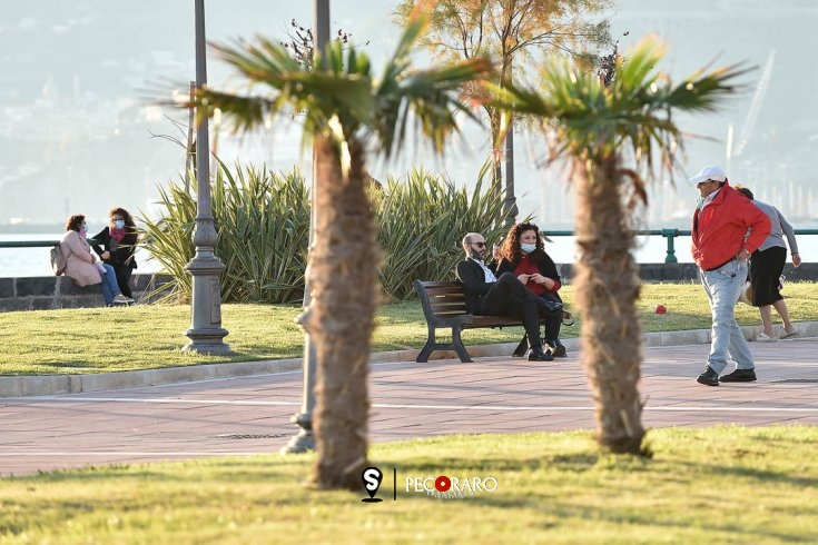 Alberi e verde, riqualificazione ambientale a Salerno: c’è il finanziamento di 50mila euro - aSalerno.it