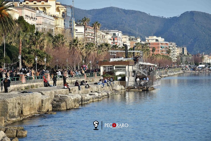Salerno, messa a dimora di 500 nuovi alberi - aSalerno.it