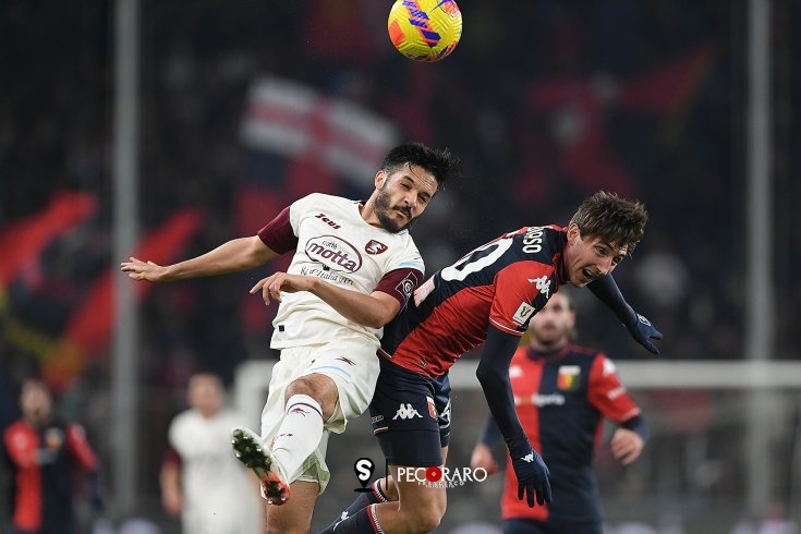 Salernitana e Genoa, coppa senza brindisi (0-0 pt) - aSalerno.it