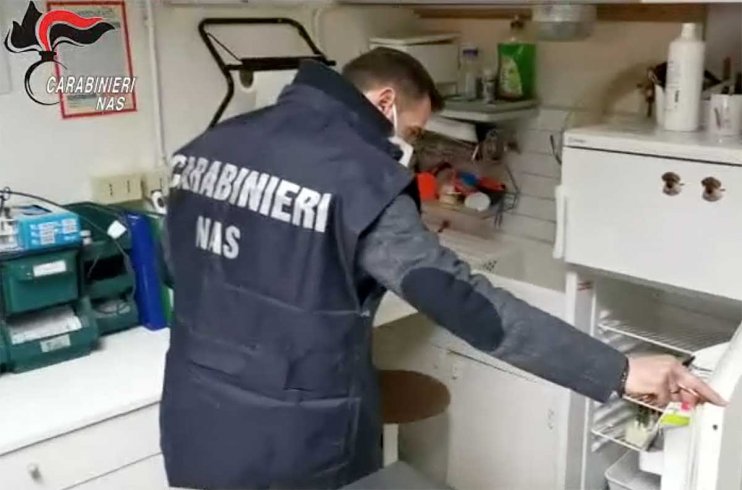 Controlli dei Nas, chiuse due cliniche veterinarie a Salerno - aSalerno.it