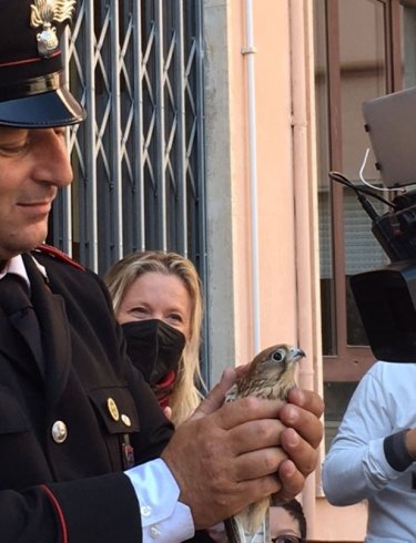 Carabinieri della Forestale incontrano gli studenti salernitani - aSalerno.it