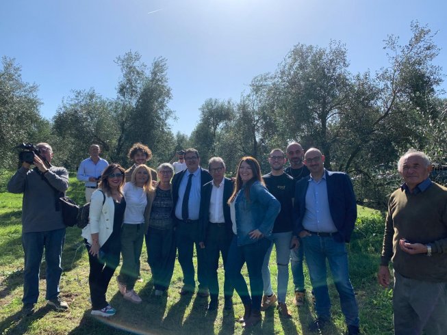 Al via il “Porte Aperte” dell’Olio dop Colline salernitane - aSalerno.it