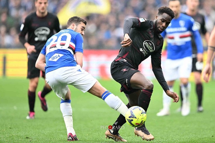 Brividi granata, la fotogallery di Sampdoria-Salernitana - aSalerno.it