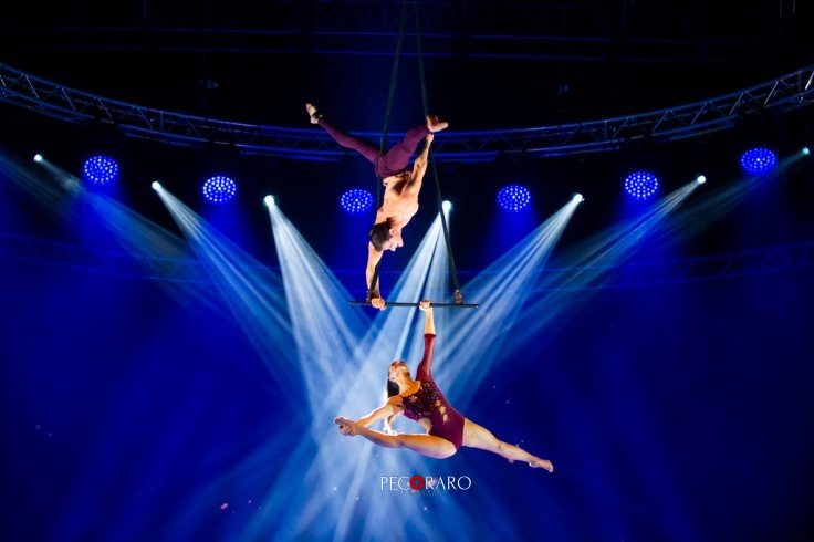 Ad Eboli incanta “Le Cirque Top Performers in Alis” – LE FOTO - aSalerno.it