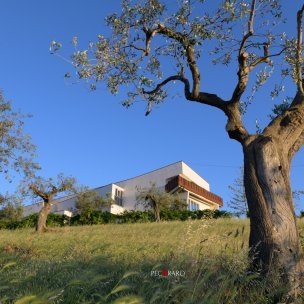 Hangar di Albanella_Crediti Giovanni Croce